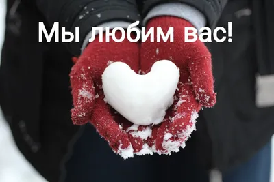 Мои чудесные , добрые , чуткие друзья , коллеги , родные , любимые ❤ Я  благодарю Вас за поздравления и теплые искренние пожелания. Все… | Instagram