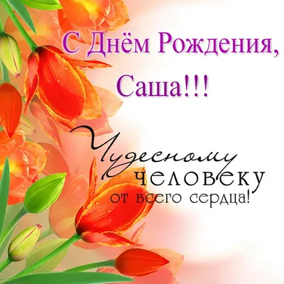 Значение имени Александра: что означает, происхождение, характеристика и  тайна имени