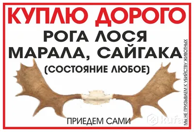 Бенто торт Ты покоришь любые вершины, Кондитерские и пекарни в Москве,  купить по цене 1990 RUB, Бенто-торты в Алхимия подарка с доставкой | Flowwow