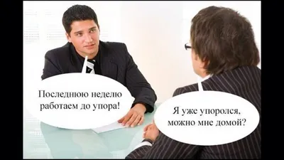 HR - тоже люди, или профессиональный юмор — Василий Паев на TenChat.ru