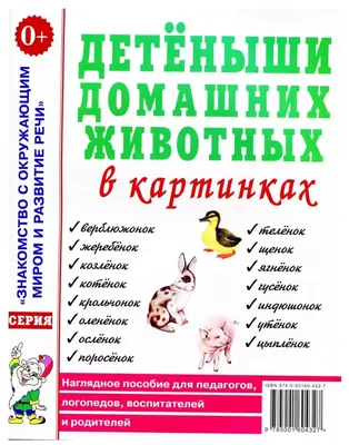 Османова Г. А. Загадки и отгадки в картинках на все лексические темы -  купить в интернет-магазине КАРО