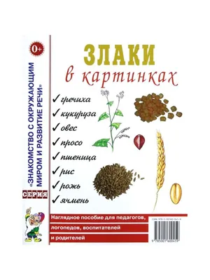 Славный малыш Обучающие книги \"Логопедические картинки\", 4 шт