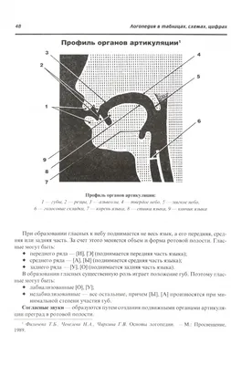 Картинки по запросу артикуляционная гимнастика в картинках для дошкольников  смешарики | Навыки моторики, Игры и другие занятия для детей, Логопедия