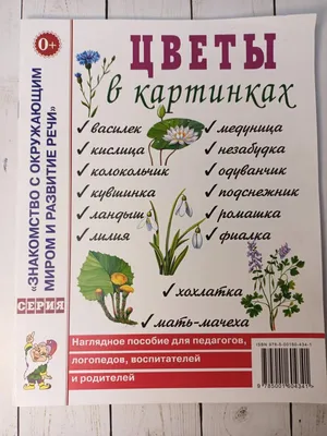 Вакоша Логопедические картинки. Звуки Ш,Ж,Ч,Щ. Теремкова Н.