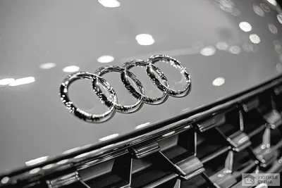 Как изменялся логотип Audi — Audi A7 Sportback (1G), 3 л, 2011 года |  аксессуары | DRIVE2