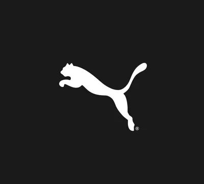 Шапка спортивная Puma Ess Logo Beanie 022330 13 (серый, акрил, двойная  вязка, теплая, зимняя, логотип пума) (ID#1316324957), цена: 690 ₴, купить  на Prom.ua