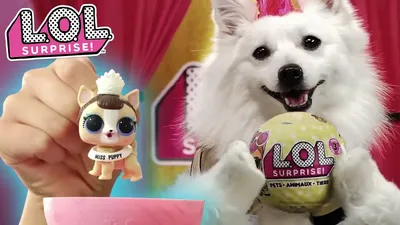 LOL Surprise Minis - new cute mini LOL pets - YouLoveIt.com