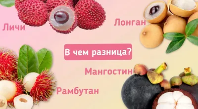 Какой вкус у фрукта лонган – Экзотические фрукты Mango Лавка Санкт-Петербург