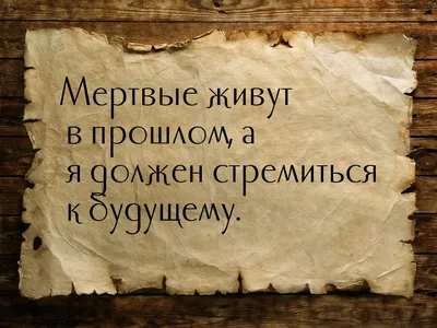 Лорд Шен Вольф Босс Кунг-фу Панда Фан-арт Серый волк, кунг-фу панда,  млекопитающее, дракон, карнавор png | Klipartz