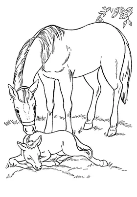 Фигурка животного Collecta Лошадь Коник Жеребенок голубой дан купить по  цене 419 ₽ в интернет-магазине Детский мир