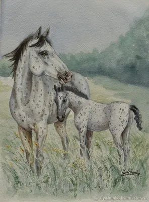 Раскраска лошадь с жеребенком