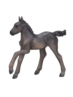 Лошадь и жеребенок лошадь жеребенок пастбище животные Раскраски для детей  мальчиков