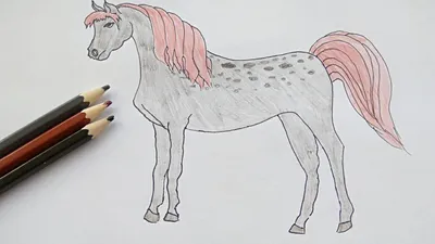 Лошадь в поле рисунок для срисовки - 56 фото