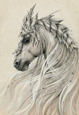 Морда лошади рисунок карандашом …» — создано в Шедевруме