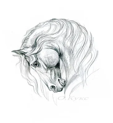 Лошадь - Demiart