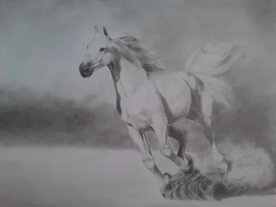 Лошадь рисунок простым карандашом поэтапно (49 фото) » рисунки для срисовки  на Газ-квас.ком