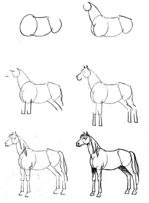 Как нарисовать лошадь карандашом | Рисунок для начинающих поэтапно - YouTube