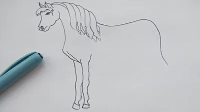 Лошадь нарисована карандашом на синем фоне гравированный рисунок  черно-белый стиль | Премиум векторы