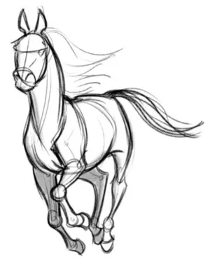 лошади простым карандашом - Demiart