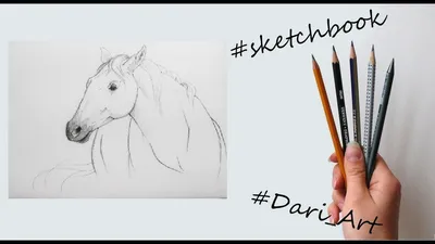 Online coloring pages Coloring Поэтапно рисуем лошадь как нарисовать  поэтапно карандашом, Coloring .