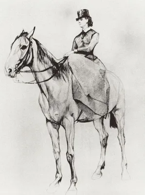 Лошадь с белой гривой и коричневым фоном с карандашом. | Премиум Фото