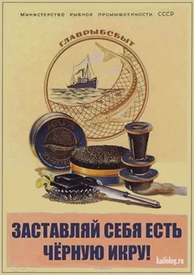 Плакаты СССР. Лозунги в спорте. Афиши. Фото | Блог любительского спорта.  Ярославль. Лыжные гонки. Бег. Велогонки. Триатлон