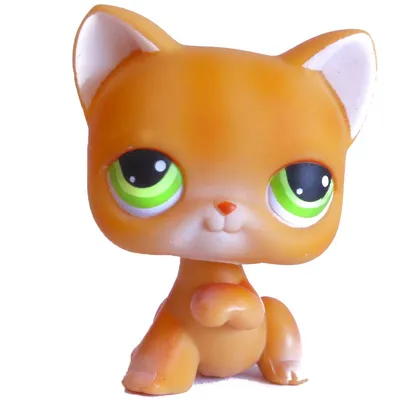 LPS CAT Rare Littlest pet shop Bobble head Toys Stands Short Hair Kitten  with Mouse and necklace Old Animal Collection toy