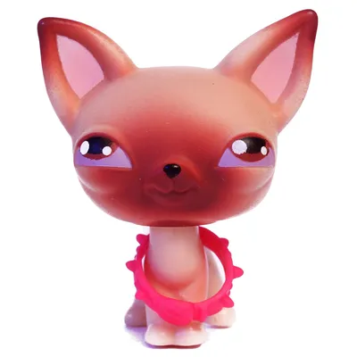 Pet Shop Figure Collection Toys | Pet Shop Collection Lps Figure - Original  - Aliexpress