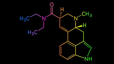 This is your brain on LSD, literally | CNN