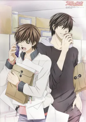 Аниме Лучшая в мире первая любовь [ТВ-1] | Sekaiichi Hatsukoi TV онлайн