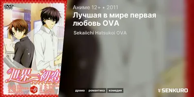 Пенал школьный Sekai-ichi Hatsukoi 2 Yokozawa and Zen Kirishima - купить  недорого