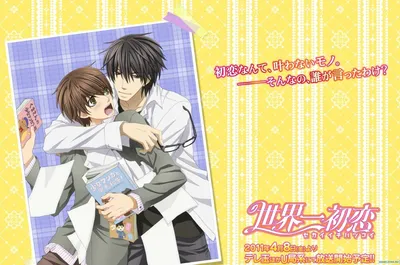 Аниме сериал Лучшая в мире первая любовь OVA | Sekai-ichi Hatsukoi OVA |  Sekaiichi Hatsukoi OVA