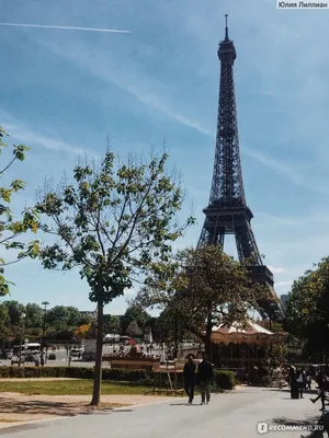 Рестораны с видом на Эйфелеву башню в Париже, наши лучшие адреса -  Sortiraparis.com