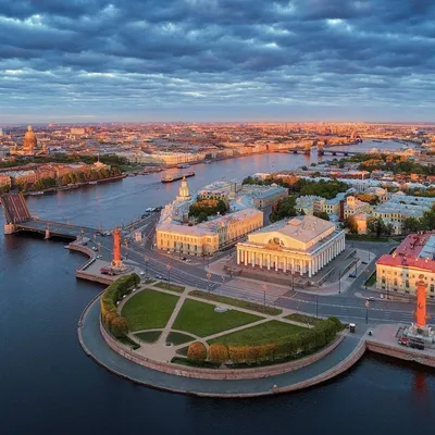 Что посмотреть и куда сходить в Санкт-Петербурге с детьми: развлечения,  достопримечательности и интересные места — Яндекс Путешествия