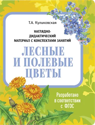 Раскраски цветов для маленьких детей. Раскраски для детей. Полевые и луговые  цветы | Детские раскраски, Раскраски, Полевые цветы