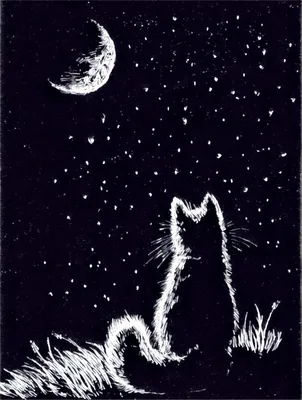 Набор для вышивания \"Лунный кот\"