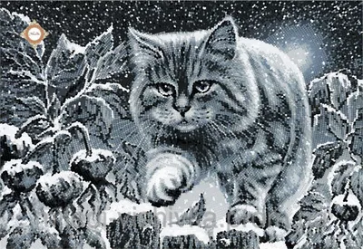 Купити Лунный кот на фоне звездного неба. Акрил | Skrynya.ua