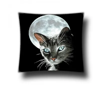 лунныйкот #кот #котенок #котиквгипсе #котвгипсе #спидпейнт #рисунок #... |  TikTok