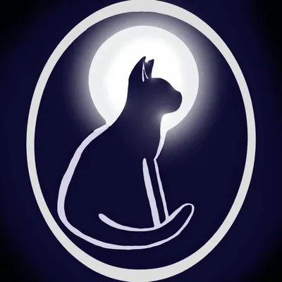 Лунный кот – купить в интернет-магазине HobbyPortal.ru с доставкой