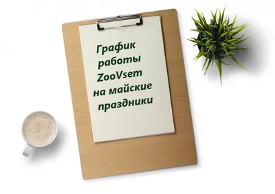 Майские праздники 2022: как отдыхаем в официальные выходные дни в мае