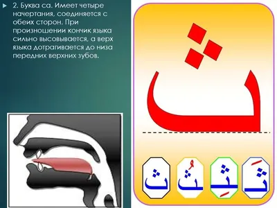 Мнение черытех мазхабов о произношении буквы «дод» (ض) - Al-isnad.kz