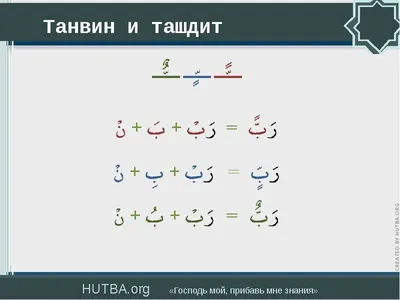 Учебное пособие Таджвид для начинающих/для детей. ЧИТАЙ-УММА ДЕТЯМ 15579899  купить за 464 ₽ в интернет-магазине Wildberries