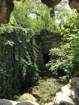 Купить Дачу в Дачном Поселке в микрорайоне Максимова дача (Севастополь) -  предложения о продаже дачных домов в дачном поселке недорого: планировки,  цены и фото – Домклик