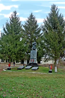 Ландшафтный заказник \"Гора Пивиха\" в Полтавской области. Отзывы посетителей.