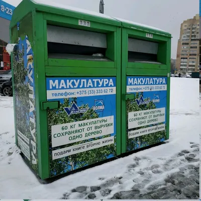 В Рубцовске дети собрали макулатуру | 15.06.2022 | Рубцовск - БезФормата