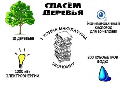 Стало известно, где в России самая дорогая и дешевая макулатура |  Компетенция на РБК+ Черноземье