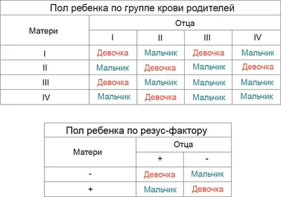 люди дети, мальчик, ребенок, студент png | PNGWing