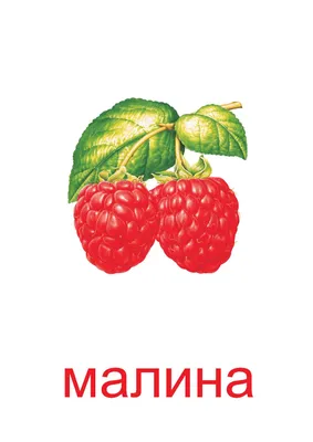 Rraspberry PNG image transparent image download, size: 2286x2215px