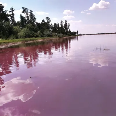 Малиновое озеро, Михайловский район, Алтайский край. Фото, отдых, как  доехать и где остановиться – Туристер.Ру