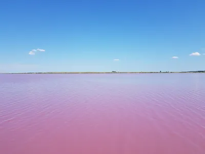 Малиновое озеро, Михайловский район, Алтайский край. Фото, отдых, как  доехать и где остановиться – Туристер.Ру